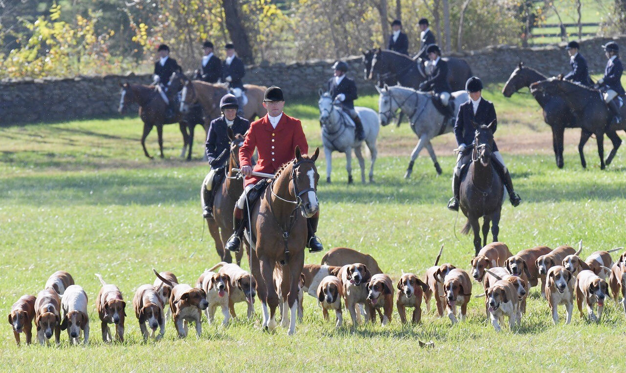 photo_ft_horse_orange county hounds 1_118120.jpg